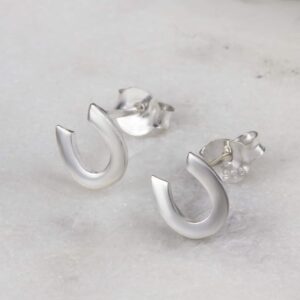 At Nalı Şans Gümüş Küpe